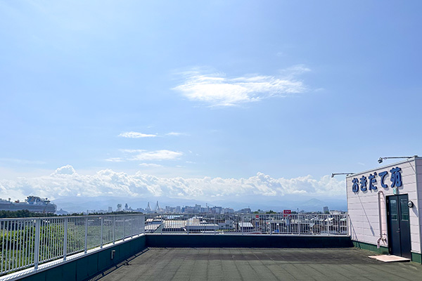 おきだて苑の屋上から見た景色